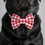 Thumbnail: Red Check bow tie