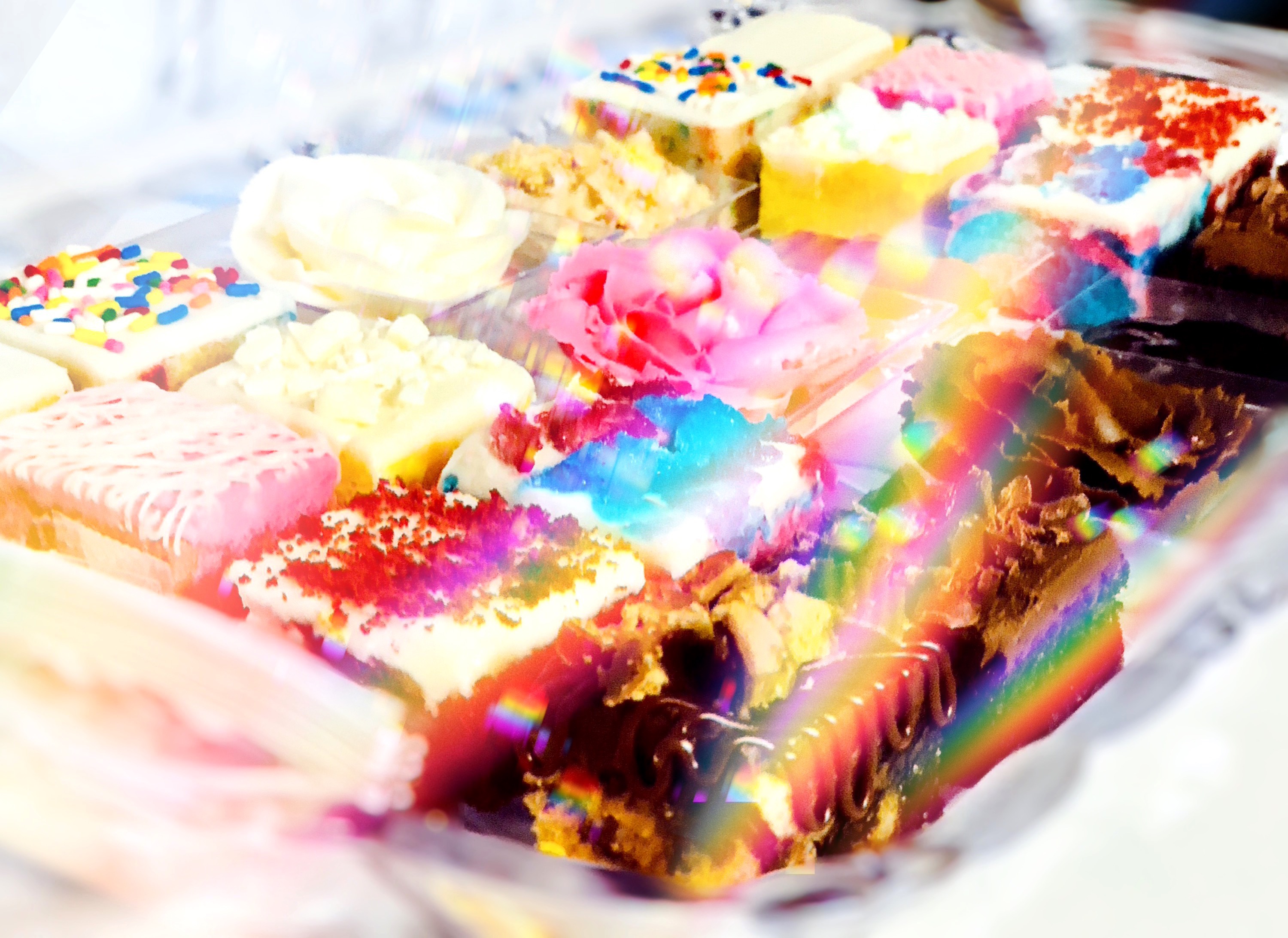 Arranged Food and Objects