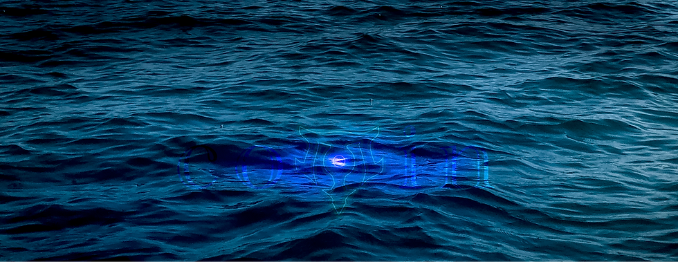 Cotin Trident Logo Outline Submerged with Text