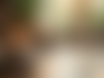 Certificação em Terapia Holística: Conquiste Novos Horizontes