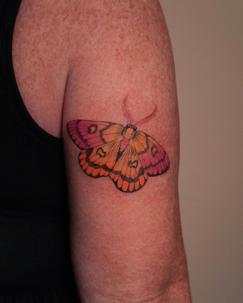 Colour Moth Fineline Tattoo