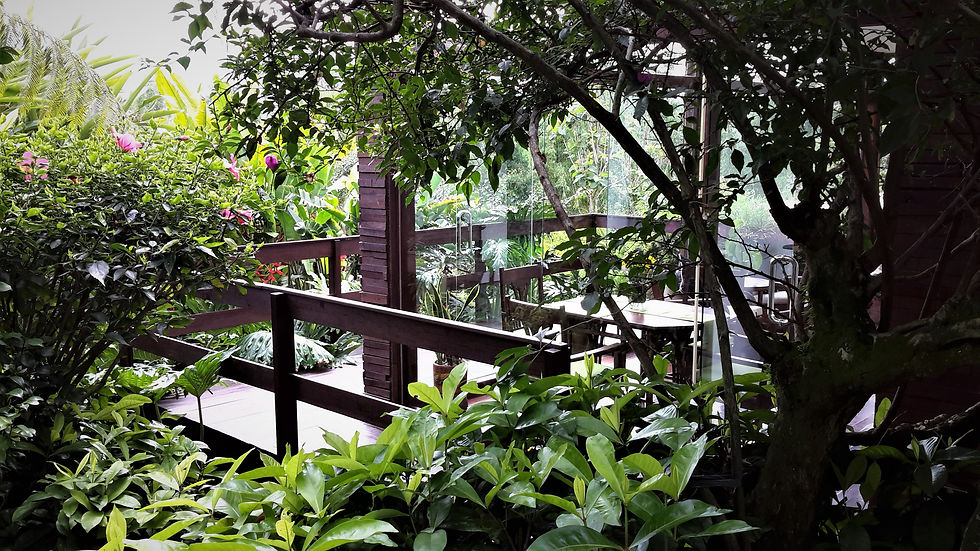 balkon 1 a (1)