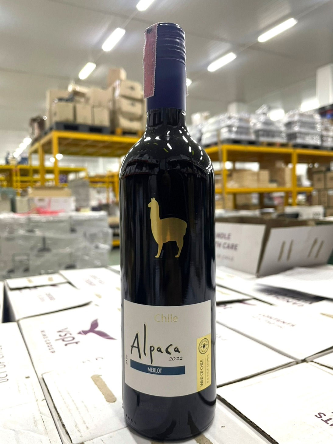 (Buy 12 Get 3) Alpaca: Merlot