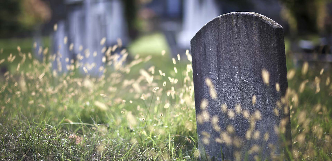 tombstone in foreground of graveyard close focus flip.jpg