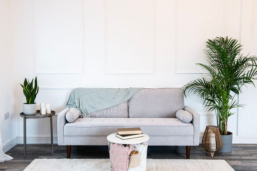 Soft grey sofa with tree and small table