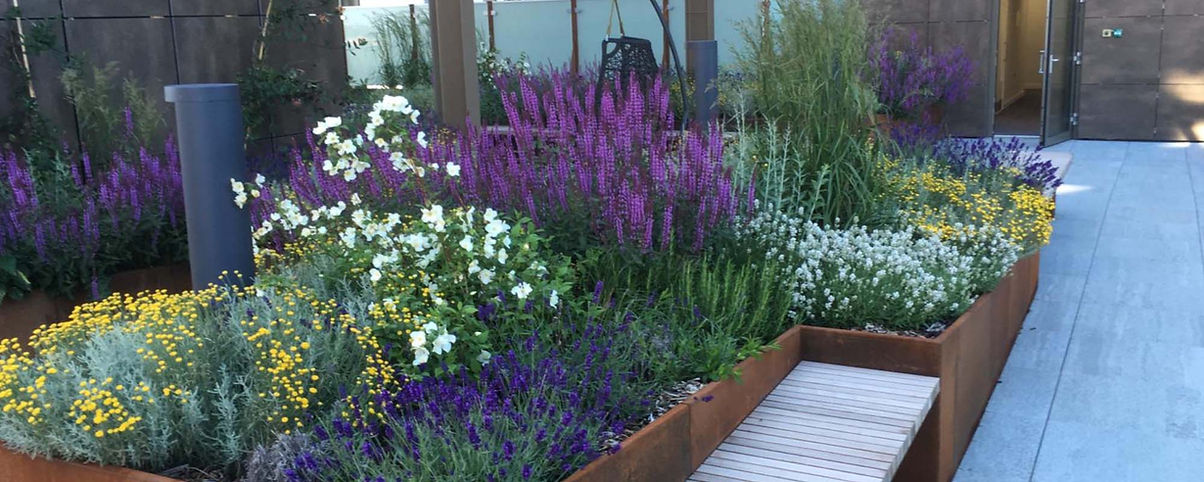 A close up of flowers