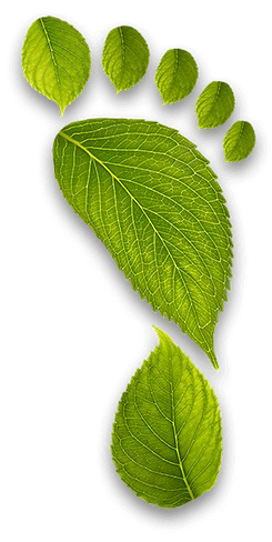 Low carbon emission leaf in shape of footprint