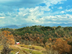Fall Foliage @ French Broad River Farms