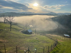 Foggy Morning Views at French Broad River Farms overlooking small valley with a small barn with silv
