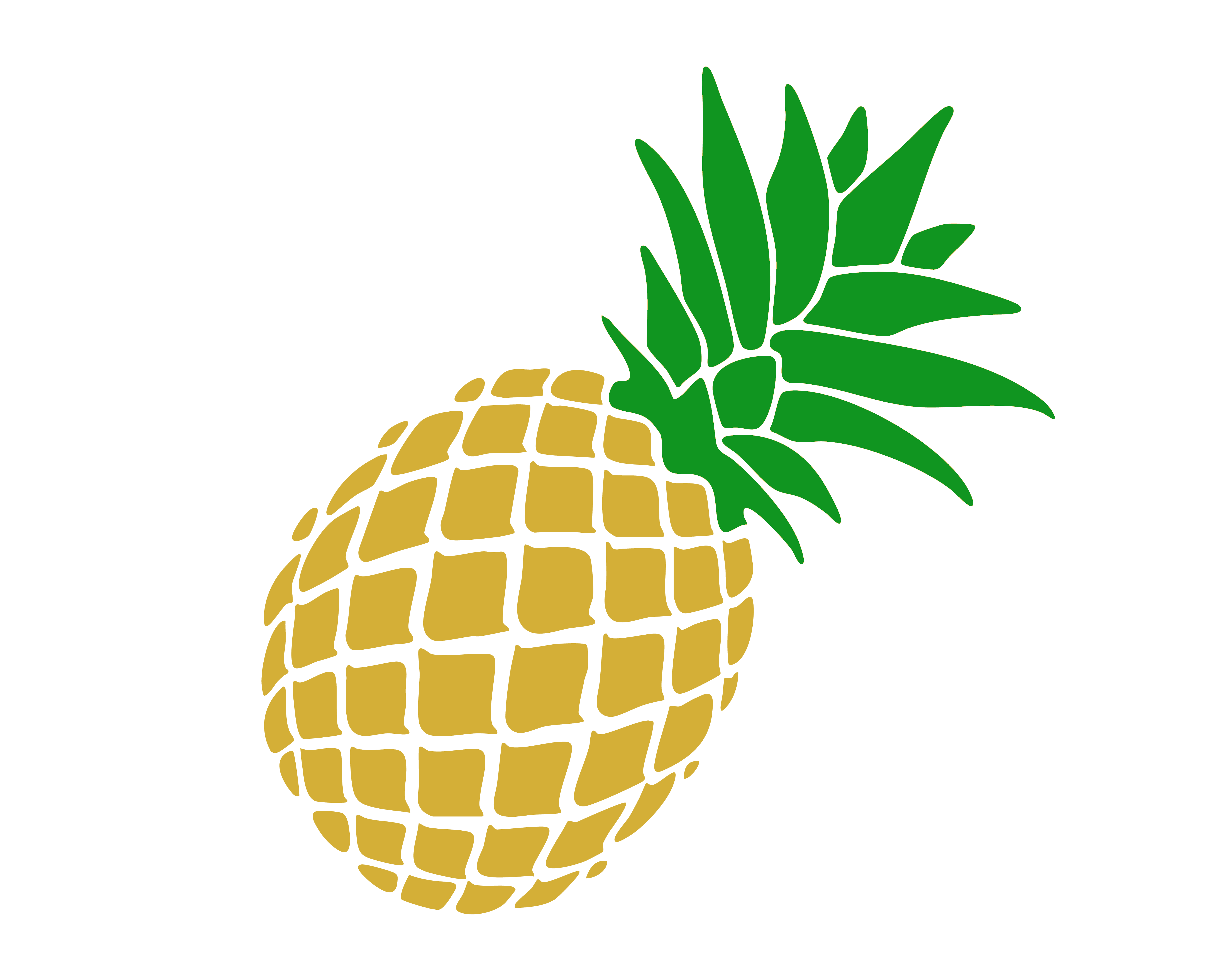 Huli Style Beef Crisps