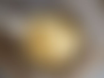 Raw sauerkraut close-up