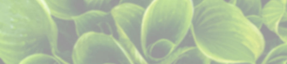 Contatti Zanasi Giardini e Impianti Modena e Reggio Emilia