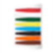 Primary 8 Flag Long