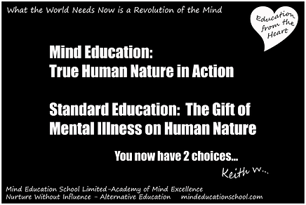 Mind Education School Limited Choices 2