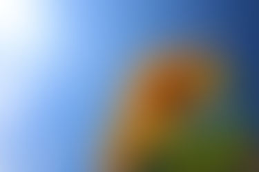 夏季休業のお知らせ