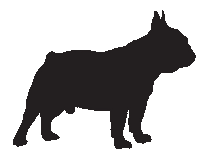 Bouledogue Francesi, Allevamento, Cuccioli, Lombardia, Italia, Disponibili, Vendo, GropelloCairoli, Pedigree, Enci, Expò, Cane, Razze, Cuccioli