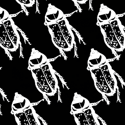 B47A4644-830D-44A4-9EF2-72C1B8B415FA.png