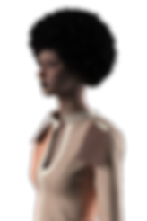 Application of Fabrics 2 copy 2.png