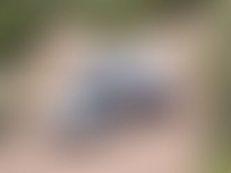 Tried and Tested: Big Country Equipment on SA Adventure 4x4 Tours...