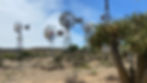 The Karoo to Coast 4x4 Off-Road Adventure