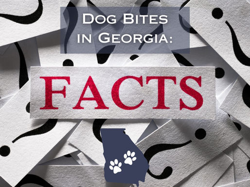 Common Misconceptions About Dog Bites in Georgia's Personal Injury Law