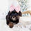 Thumbnail: Daisy (Havanese) Adopted