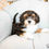 Thumbnail: West (Havanese) Adopted