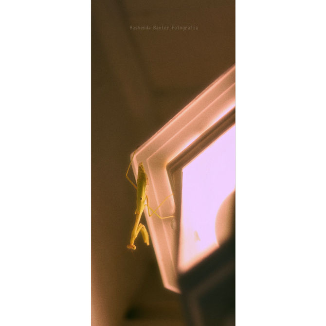 Yes, I've been away for a minute. Welp, I'm back☻