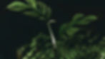 Hope_edited.jpg