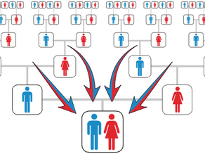 DNA - Where Do I Test?  Part 2