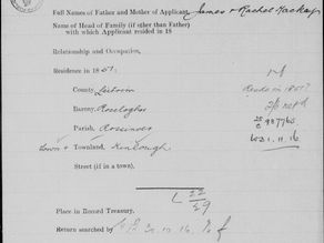 Irish Census Substitutes