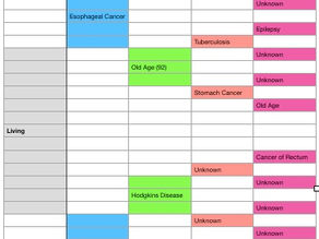 Family Health History Day