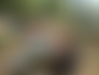 sapphic lesbian adult summer camp