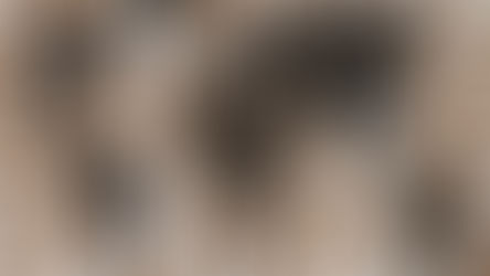 immagine-bolla-intelligenza-artificiale