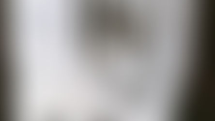 Introduzione Dossier Guerra e Capitale