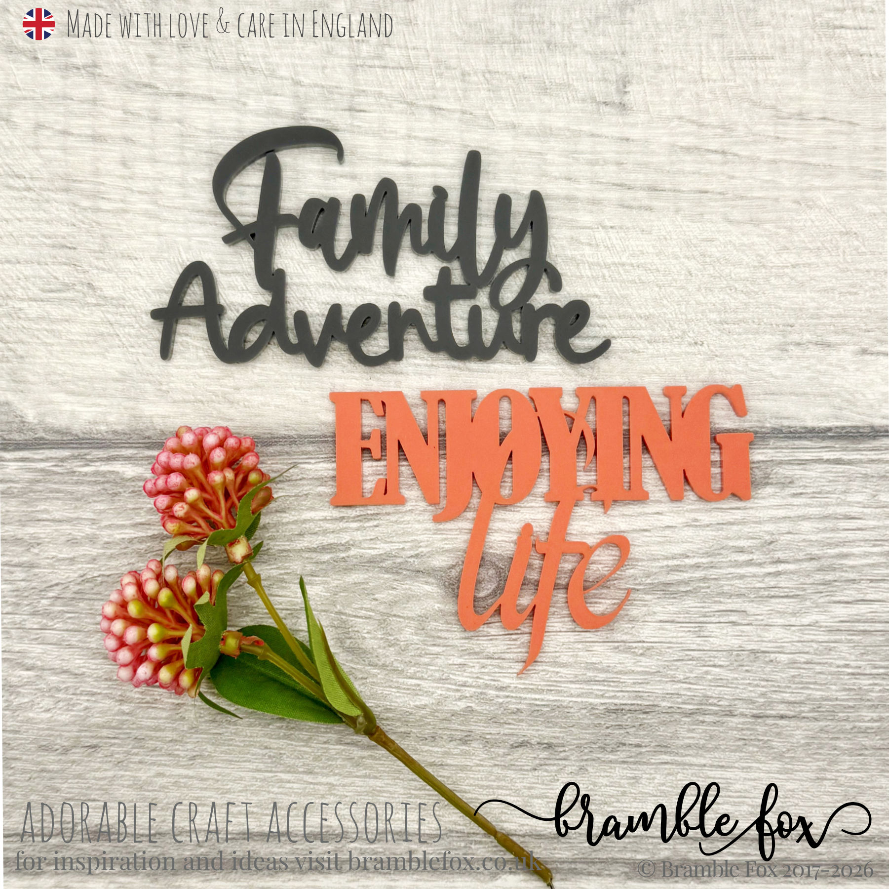 Family Adventure