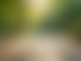 Transform Your Outdoor Space with Custom Decks