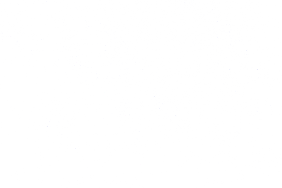 Dust&Scratches-41_white.png
