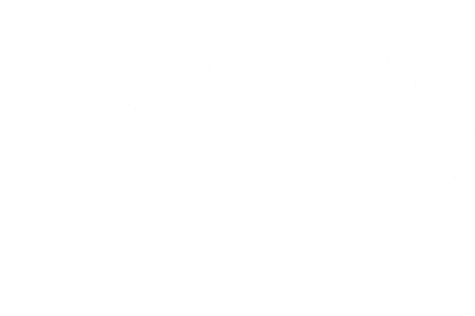 Dust&Scratches-41_white.png