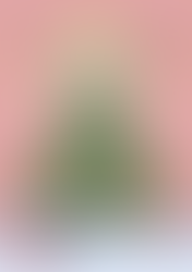 12/20(土)Xmas party Live