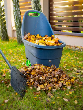 Lapu un kritušo zaru savākšana