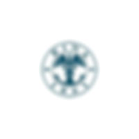 Registrо Italiano Navale (RINA)