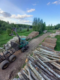 Kokmateriālu izvešana Vidzemē