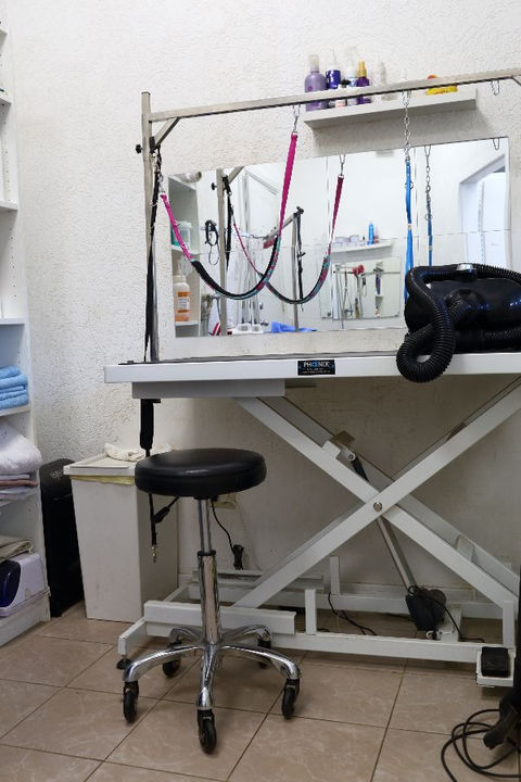 Veterinārā klīnika Ķengaragā