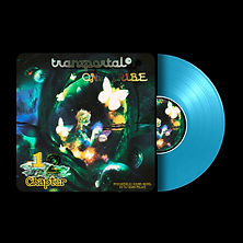 Tranzportal chapter 12 disc.jpeg