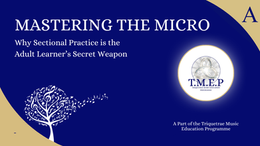 Mastering the Micro: Why Sectional Practice is the Adult Learner’s Secret Weapon