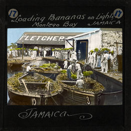 Workers loading bananas onto boats at Fletcher's dock in Montego Bay, Jamaica, showcasing bustling trade activity. Public Domain image: Source file https://commons.wikimedia.org/wiki/File:%22Loading_Bananas_on_Lighters,_Montego_Bay,_Jamaica%22_early_20th_century_(imp-cswc-GB-237-CSWC47-LS12-017).jpg 