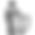 Security Guard Services