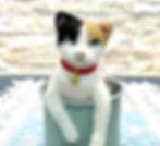 S__4268047_02.jpg