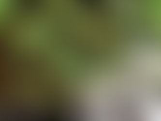 Η Forest Green Rovers και οι εμφανίσεις από απορρίματα καφέ